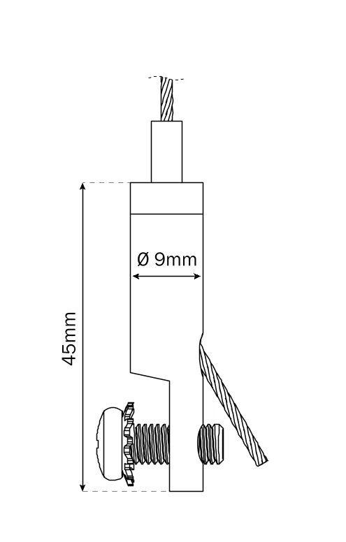 Miniatuur 5