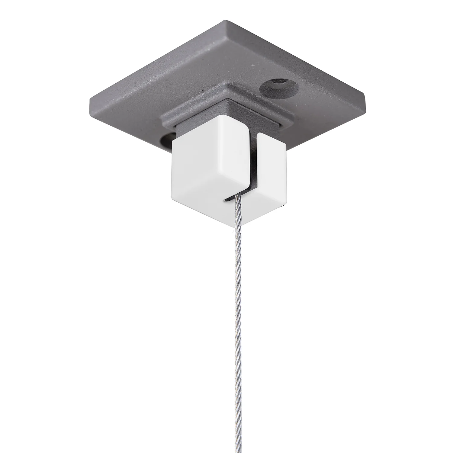Miniatuur 6