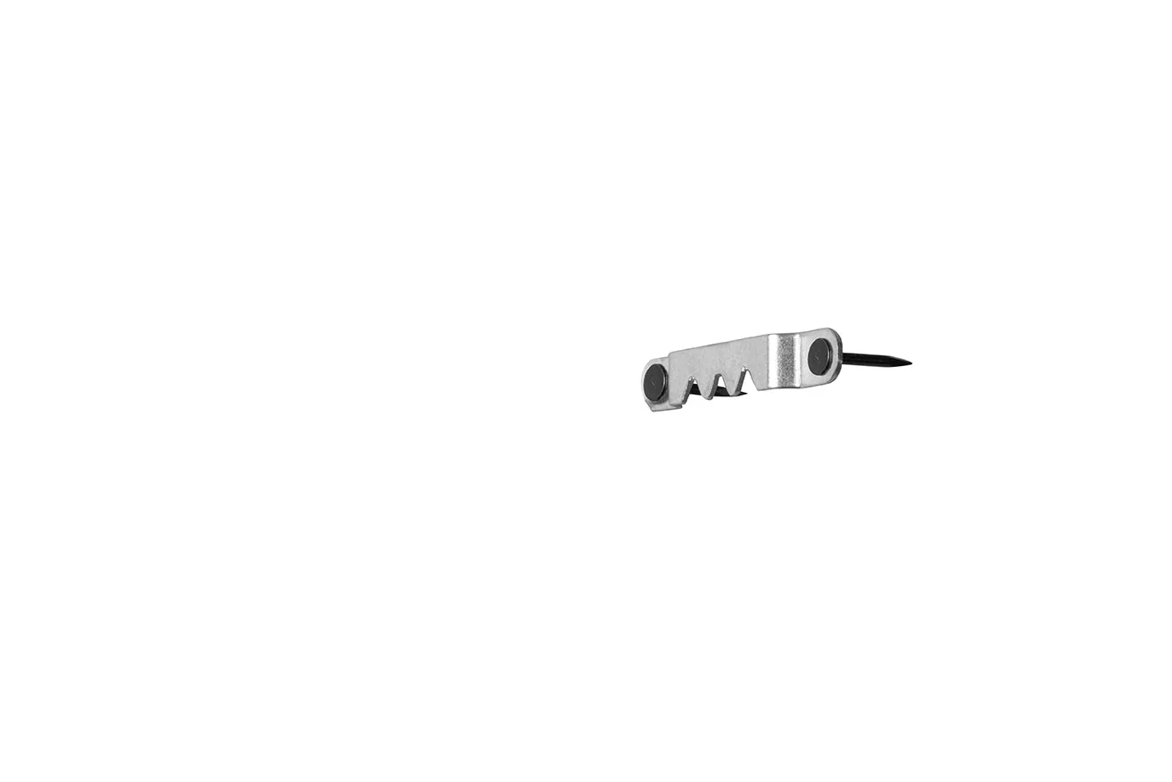 Miniatuur 4